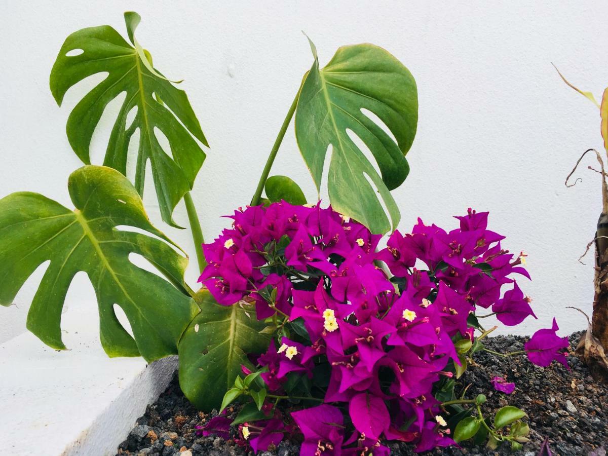 פלאיה הונדה The Little White House, Suite Flower Beach 9 מראה חיצוני תמונה